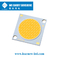 28x28mm 2700-6500K 120-140LM/W LEIDENE MAÏSKOLF Chip For Tracking Light Streetlight