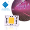 Full Spectrum AC 50w LED COB Chip 200v 240v 4046 AC LED Chip voor groeilicht