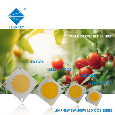 LED COB voor Wandlamp en Spot