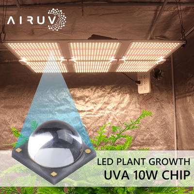 het Geleide Chips For UV Genezen van 10W 365nm 385nm 395nm 6-7V Uva 3W
