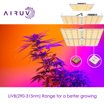 10w 20w 100w UVA UVB UVCLED COB High Efficiency 365nm 385nm 395nm Kosteneffectief Led
