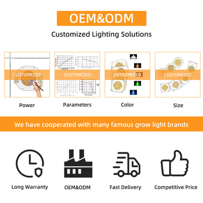 Bi-color Cob Led Chip 6060 Dual CCT 2700K 6500K Cob Chip High Power 300W*2 LEDs