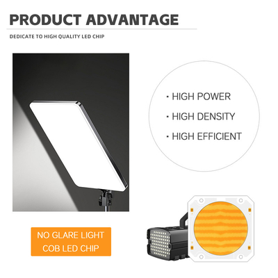OEM ODM golflengte BI Kleur 205V smd led chip Warm wit + wit 6060 SMD LED chips Uitzenden