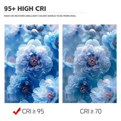 6060 Bi Color 2700K 6500K CCT High Power 300W + 300W COB LED-chipmodule voor fotografielamp