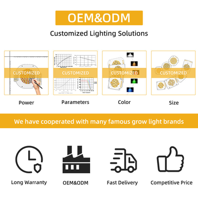 LED COB Chip 200W VF 45V LED Perlen DIY Volledig spectrum Aanpasbaar