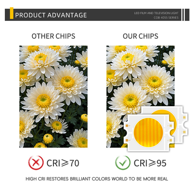 Op maat gemaakte Power LED 300W Bi-color Warm + Cold White 4055 Bicolor Two CCT CRI95 COB LED Chip