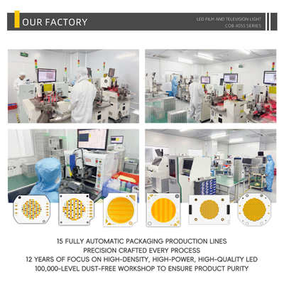 Dual CCT 2700K+6500K BI-Color Warm+Cool White Cri 70 80 90 95 High Power 100W 200W 300W COB LED Chip Bicolor