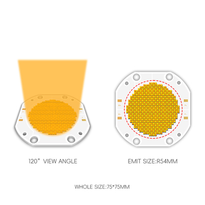 Bi-color 2700K 6500K High Power CRI 95 600W COB LED Chip Module PCB Board voor LED Video Fill Photography Light