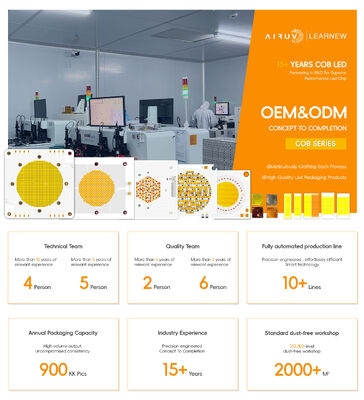 30W+30W BICOLOR 1919 COB LED CHIP DOWNLIGHTS INDOOR LIGHTS SPOTLIGHTS 36-38V DIMMABLE CCT Twee kleuren 2700-6500K