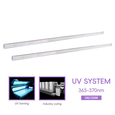 120W 100W Bi Pin Tanning Lamp Factory OEM/ODM Logo 70in 60in 365nm Tube voor huid