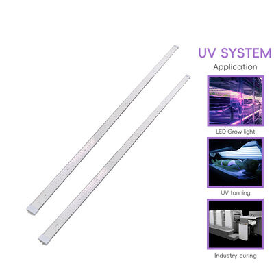 120W 100W Bi Pin Tanning Lamp Factory OEM/ODM Logo 70in 60in 365nm Tube voor huid