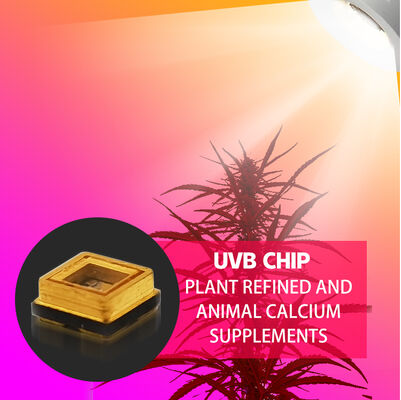 Beauty UVB 3W Chip 315nm Fabrieksprijs 3535 LED Diode SMD 311nm 500mA Zonnebrandlamp LED Diode SMD 306nm 295nm 110mW
