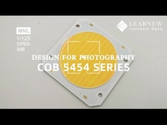 5454 Dubbele kleurtemperatuurchip