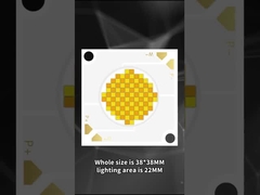 3838 dubbelkleurige COB-LED